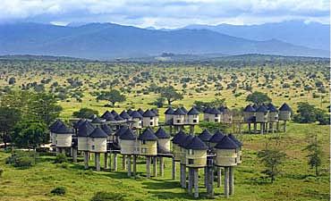kilimasafaricampsmall1 SAROVA SALT LICK GAME LODGE