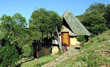 PLACES TO STAY IN MASAI MARA