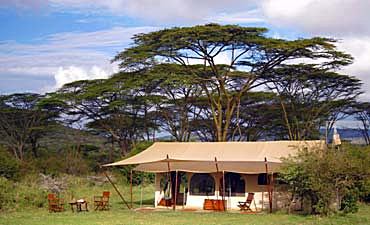 PLACES TO STAY IN MASAI MARA