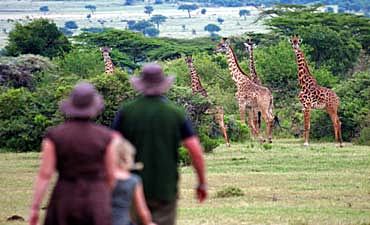 PREMIER TIER 1 - SARUNI WILD & SAMBURU HIGHLIGHTS OF KENYA SAFARI (10 DAYS)