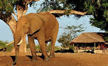 2 DAYS - HIGHLIGHTS OF TSAVO EAST SAFARI FROM MOMBASA