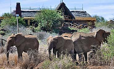 PLACES TO STAY IN AMBOSELI