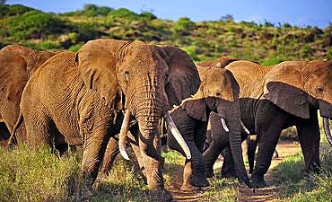 AMBOSELI SAFARI PRICES