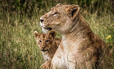 8 DAYS - ACTIVE ADVENTURE KENYA ULTRA-LUXURY SAFARI