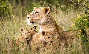 8 DAYS - ACTIVE ADVENTURE KENYA ULTRA-LUXURY SAFARI