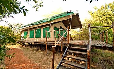 SELOUS IMPALA CAMP