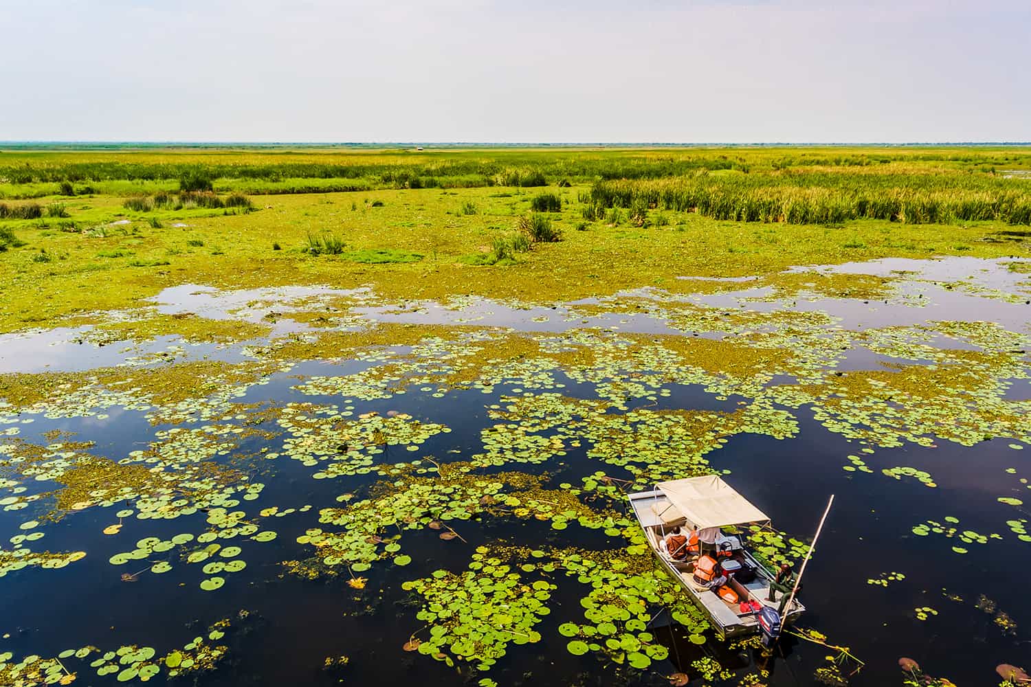 How To Plan The Best 2025-2026 Birding Safari For Uganda