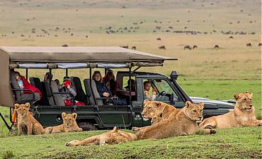 SENTINEL MASAI MARA & HIGHLIGHTS OF KENYA SAFARI