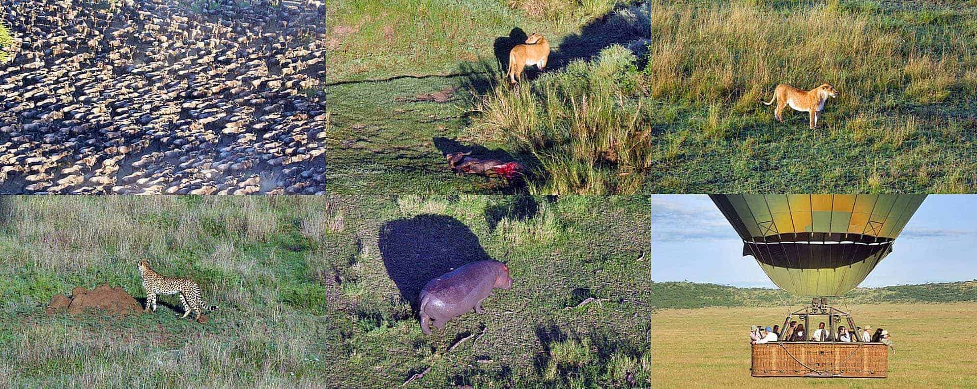 balloon safari in serengeti