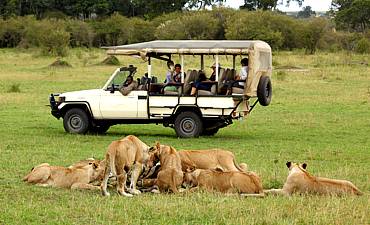 BUSHTOPS TANZANIA & KENYA FLYING ULTRA-LUXURY SAFARI (13 DAYS)