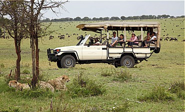 PREMIER TIER 1 - BUSHTOPS EXPLORER TANZANIA FLYING ULTRA-LUXURY SAFARI (9 DAYS)