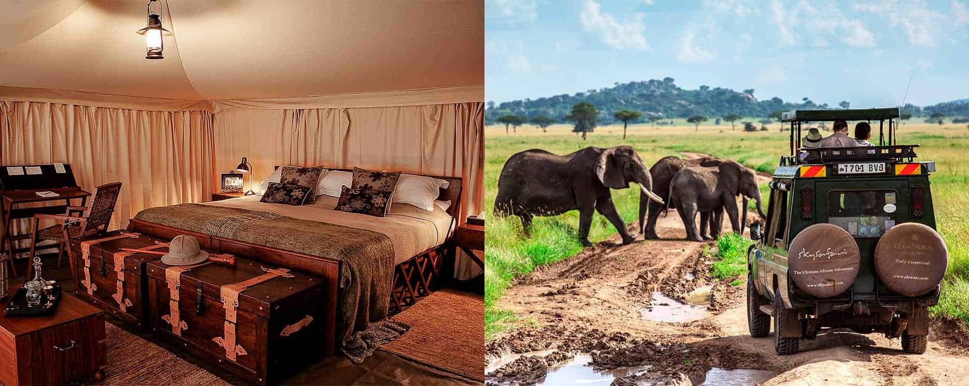 Serengeti Pioneer Camp