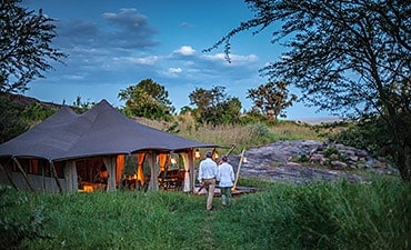 SERENGETI PIONEER CAMP (ELEWANA)