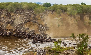 NASIKIA TANZANIA SAFARIS (10 DAYS)