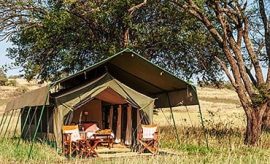 ndutu safari lodge contacts