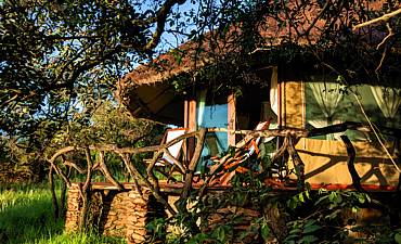 SERENGETI SIMBA LODGE