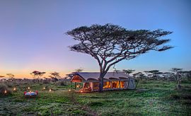 ndutu safari lodge contacts