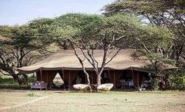 ndutu safari lodge contacts