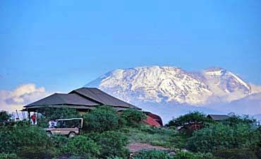 DELUXE TIER 2 - SHU'MATA CAMP - MOUNT KILIMANJARO SAFARI