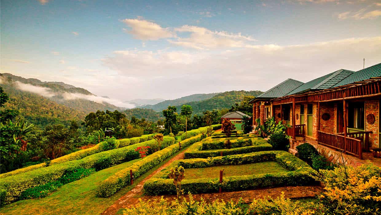 Silverback Lodge Bwindi Park View