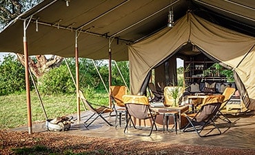 PLACES TO STAY IN SERENGETI