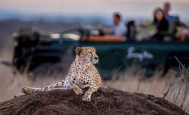 ULTRA-LUXURY TANZANIA SAFARIS (5 TO 13 DAYS)