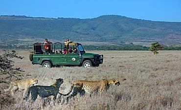 EASTERN LAIKIPIA ACCOMMODATIONS