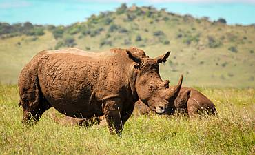 LAIKIPIA SAFARI PRICES