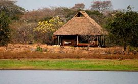 selous tours and safari