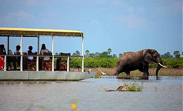 DELUXE TIER 2 - BEST OF SOUTHERN TANZANIA SAFARI FROM DAR ES SALAAM OR ZANZIBAR