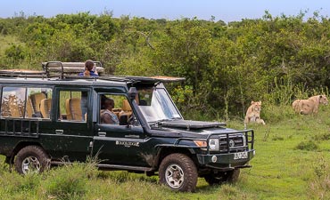 PREMIER TIER 1 - SAFARI COLLECTION NORTHERN KENYA & MASAI MARA SAFARI (12 DAYS)