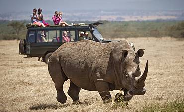 PREMIER TIER 1 - SAFARI COLLECTION NORTHERN KENYA & MASAI MARA SAFARI (12 DAYS)