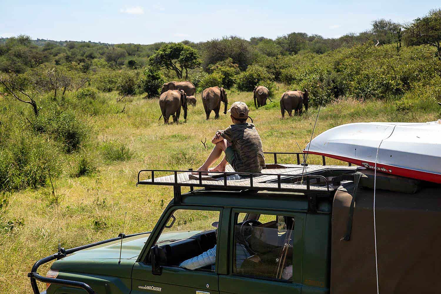 What Are The Wildlife, Birdlife & Floral Experiences In Suyian Conservancy?