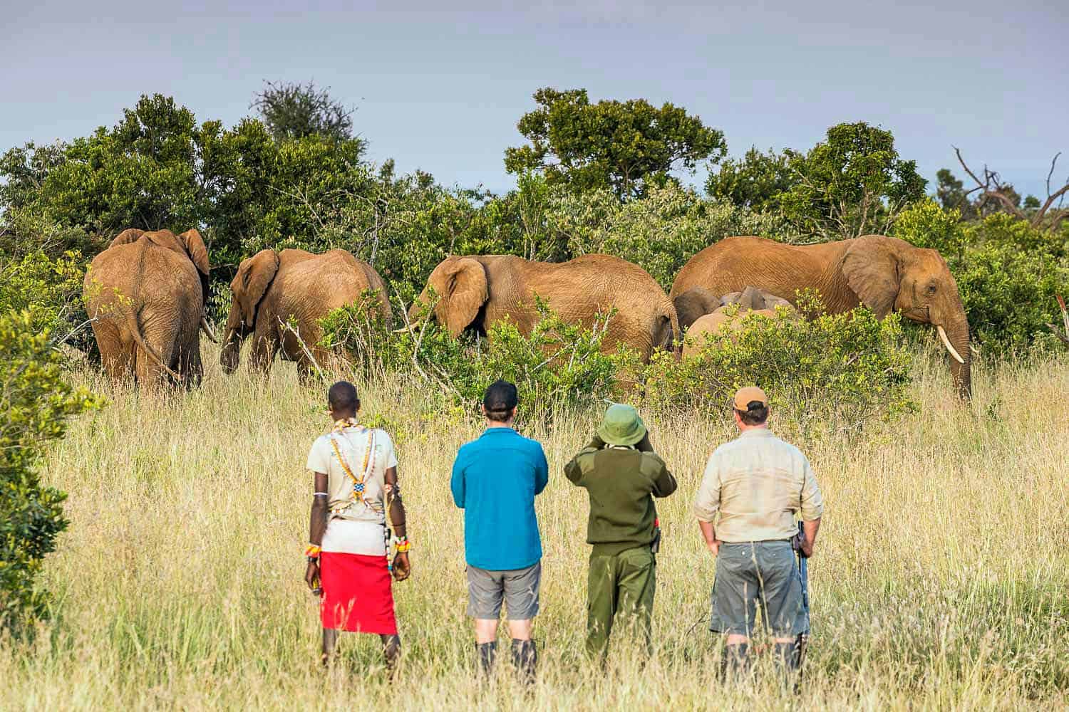 Suyian Safari Experiences