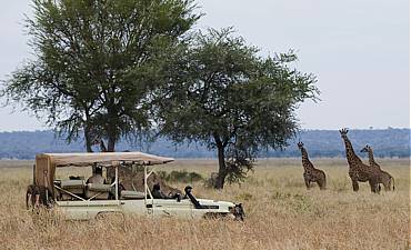 9 DAYS - INCREDIBLE NORTHERN TANZANIA SAFARI