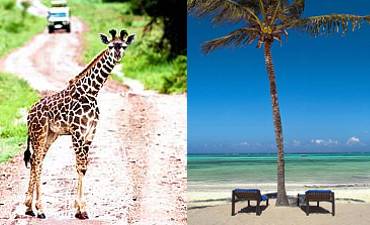 TANZANIA BUSH & BEACH SAFARIS