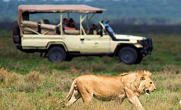 SAFARI PRICES FOR TANZANIA