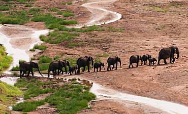 PARKS & RESERVES IN TANZANIA