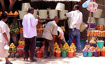 CITY DAY TOURS FOR TANZANIA