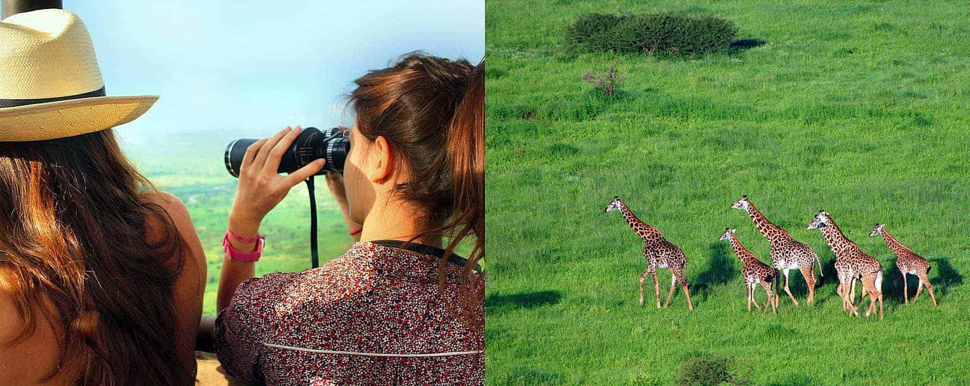 safari tanzanie tarangire