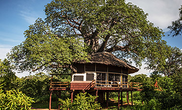 ELEWANA TARANGIRE TREETOPS LODGE - TARANGIRE SAFARI