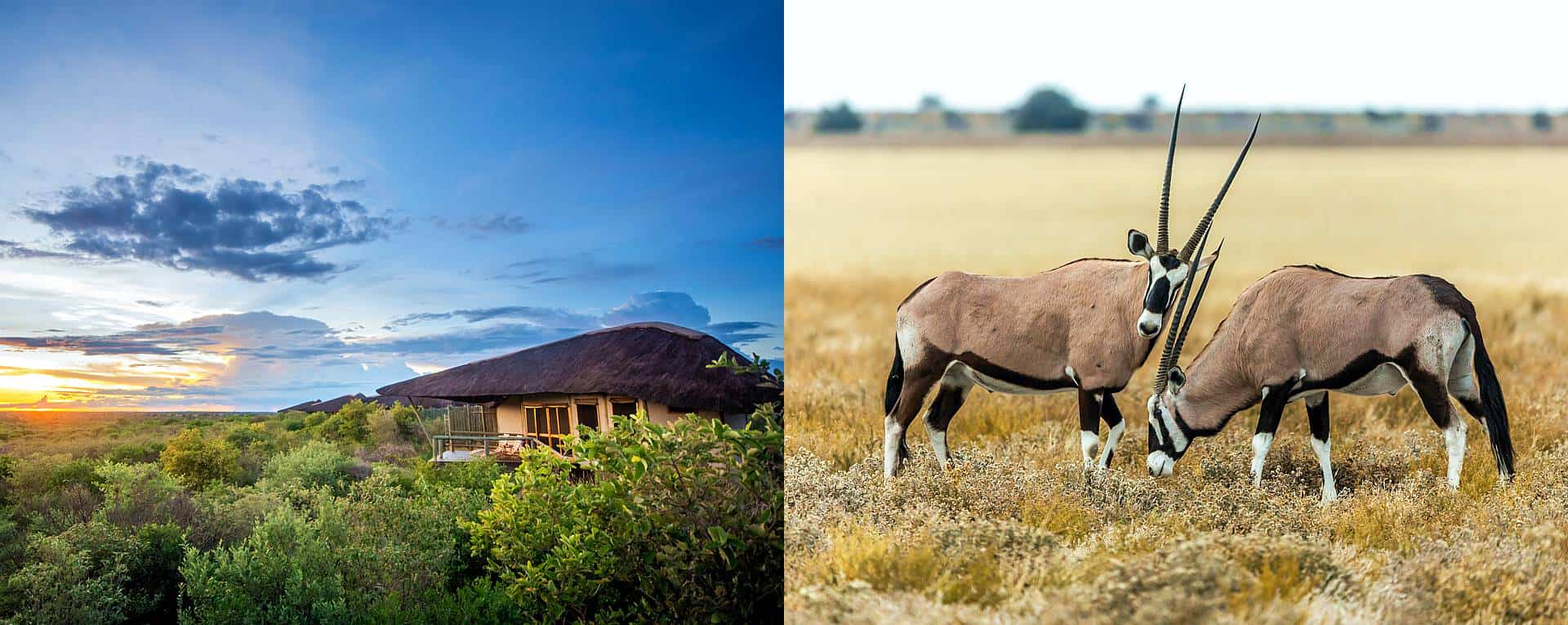 Tau Pan Camp Central Kalahari