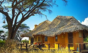 TAWI LODGE - AMBOSELI SAFARI FROM NAIROBI