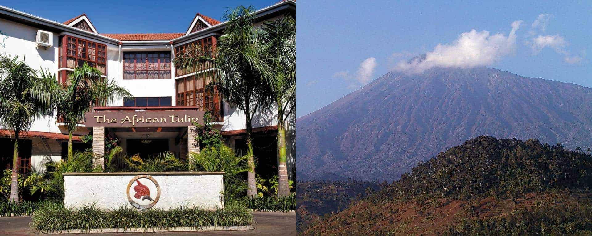 The African Tulip In Arusha Tanzania AfricanMecca