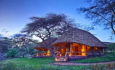 ELEWANA TORTILIS CAMP - AMBOSELI SAFARI FROM NAIROBI