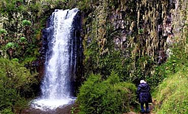 ABERDARE PARK HIKE