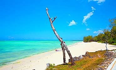 TULIA ZANZIBAR RESORT - ZANZIBAR BEACH FROM NAIROBI OR ARUSHA