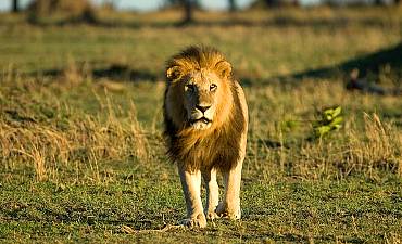 SERENGETI NATIONAL PARK