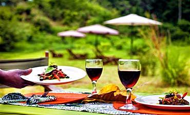 udzungwaforestcampsmall4 BEST TIME TO VISIT UDZUNGWA