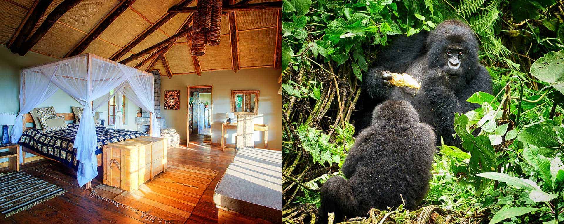 Virunga Lodge